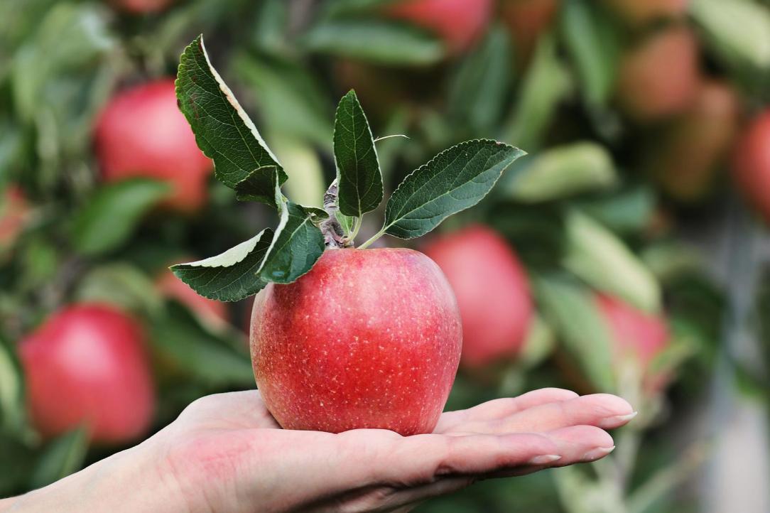 Woman holding a bright red apple